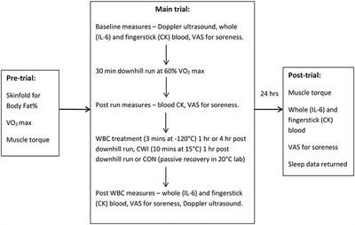 The Comparative Effect of Different Timings of Whole Body Cryotherapy Treatment With Cold Water Immersion for Post-Exercise Recovery